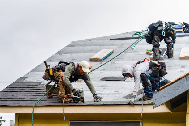 Professional Storm Damage Roof Repair technician working in Noble, OK